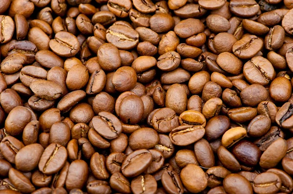 Background from coffee grains — Stock Photo, Image