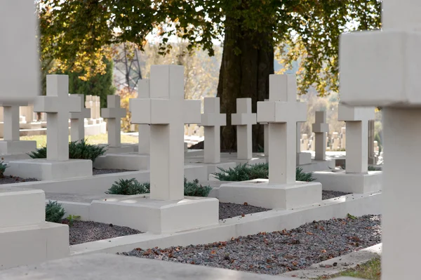 Військове кладовище — стокове фото