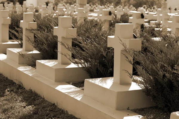 Military cemetery — Stock Photo, Image