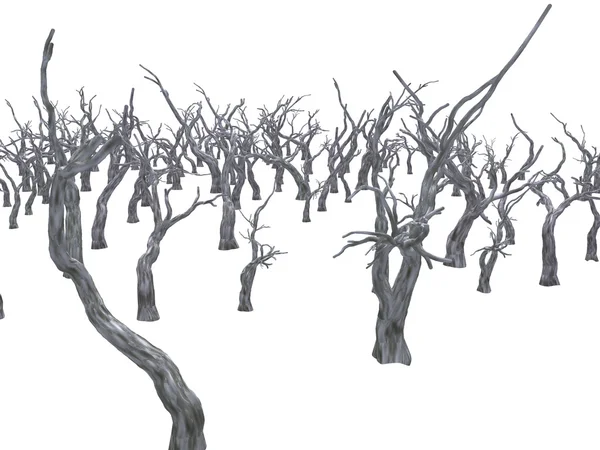 Floresta morta — Fotografia de Stock