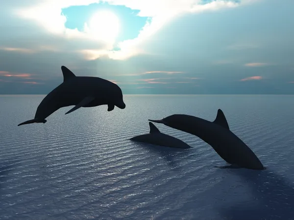 Delfín y rayos solares —  Fotos de Stock