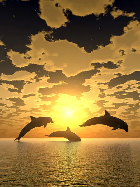Delphin gelber Sonnenuntergang — Stockfoto