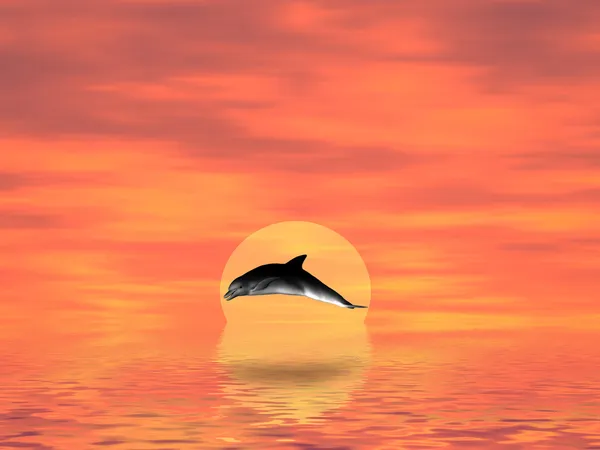Delfiner på en nedgång — Stockfoto