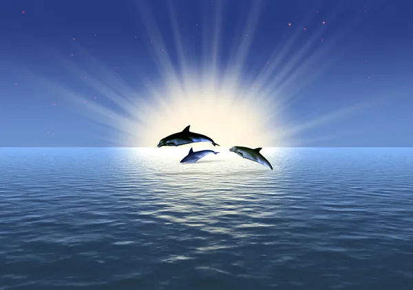 Três golfinhos — Fotografia de Stock