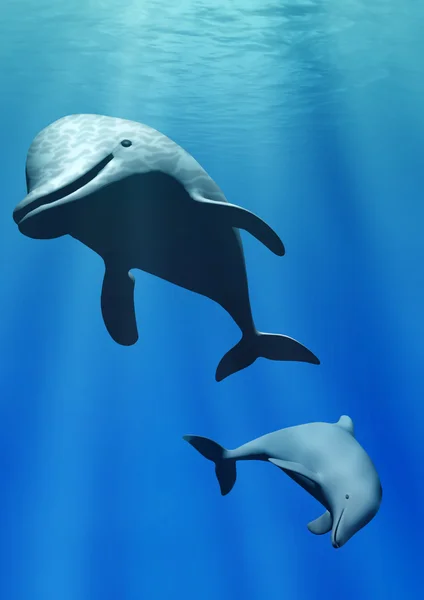 Yunuslar su altında — Stok fotoğraf