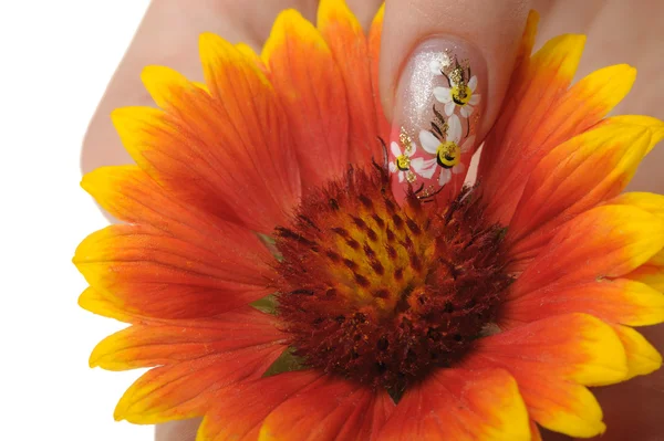 Nail art and flower — Stock Photo, Image