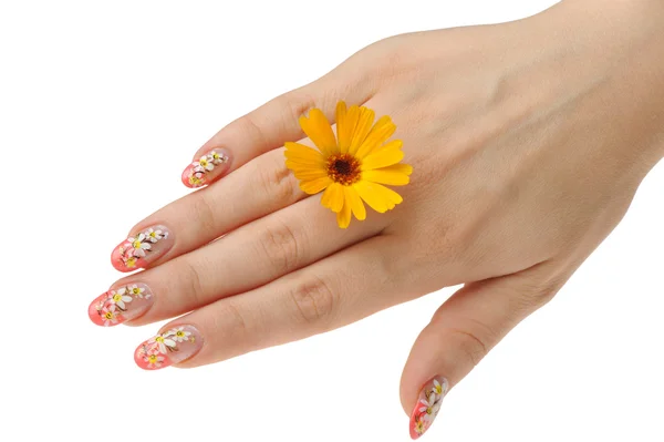 Vrouwelijke hand en bloem — Stockfoto