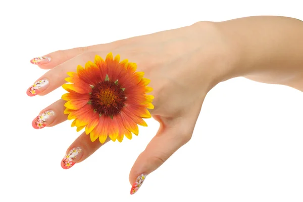 Ženská ruka a květina — Stock fotografie