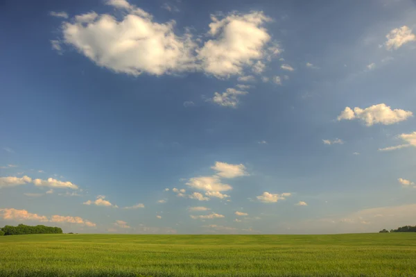 绿色的原野和暗蓝色的天空 — 图库照片