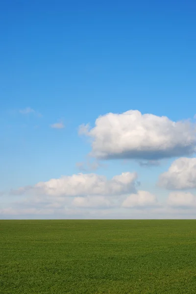 Feld und Wolke — Stockfoto