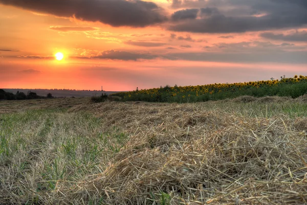 Field with hay on a background sunset — Stock Photo, Image