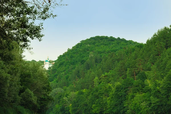 Церковь на горе в окружении леса — стоковое фото