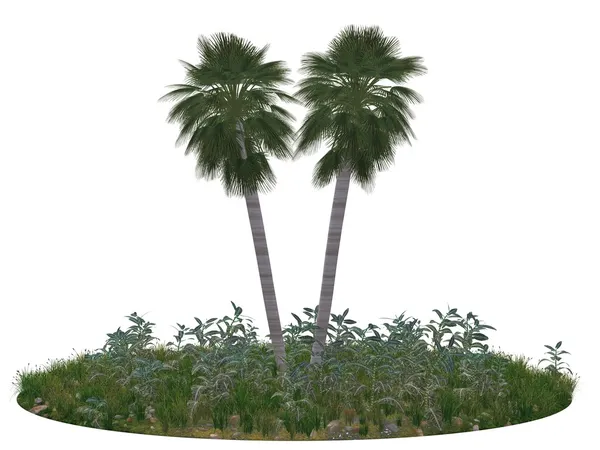 2 つのヤシの木が島のフラグメント — ストック写真