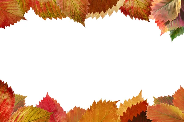 秋の葉からフレーム — ストック写真