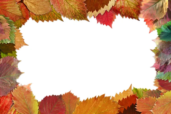 Frame from autumn leaves with shadow — Stock Photo, Image