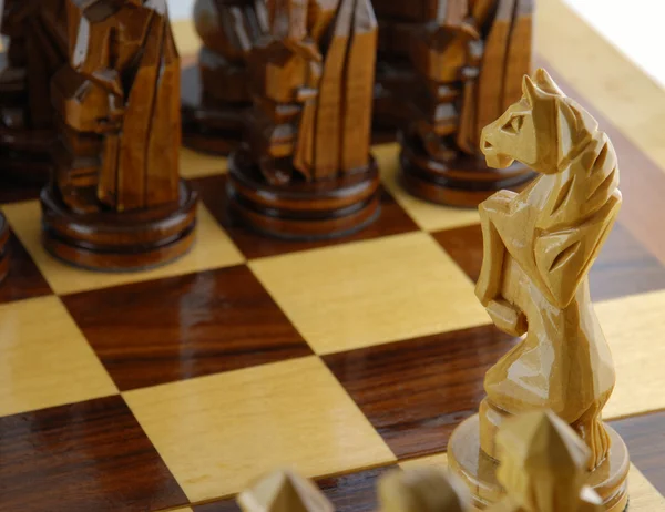 Aller un cheval d'échecs — Photo