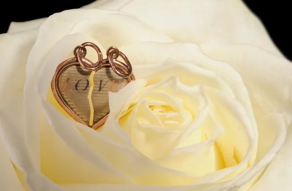 Corazón de oro en una rosa amarilla —  Fotos de Stock