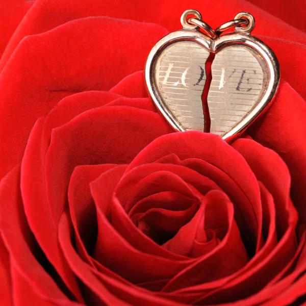 Zlaté srdce v červené růže — Stock fotografie