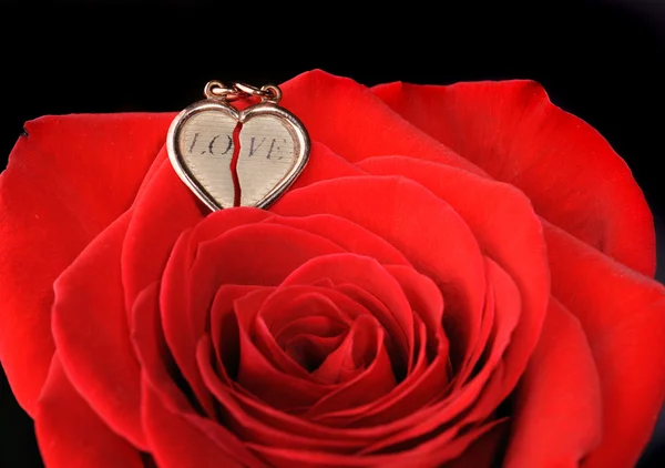 Corazón de oro en una rosa roja — Foto de Stock
