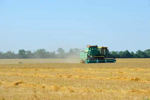 stock image Harvesting