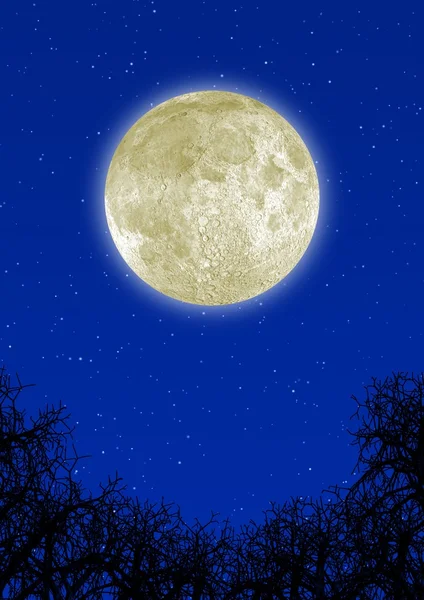 Hochdetaillierter Mond — Stockfoto