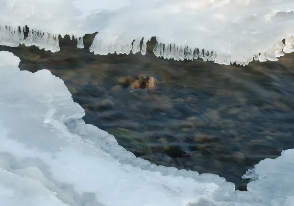 冰柱和冬天河 — 图库照片