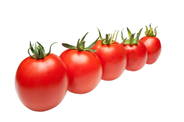 Tomatoes in row — Stock Photo, Image