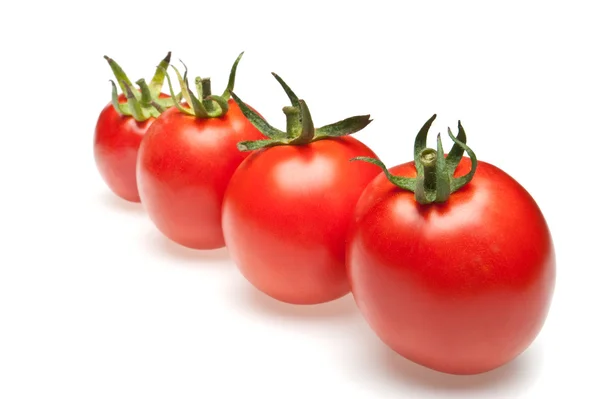 Tomatoes in row — Stock Photo, Image