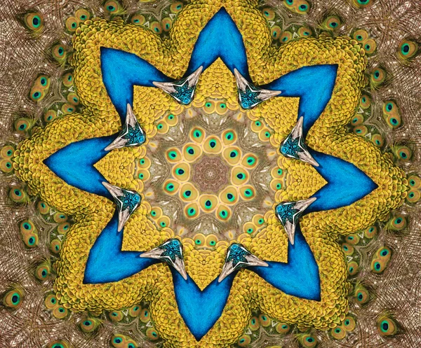 Kaleidoskop Pfau — Stockfoto