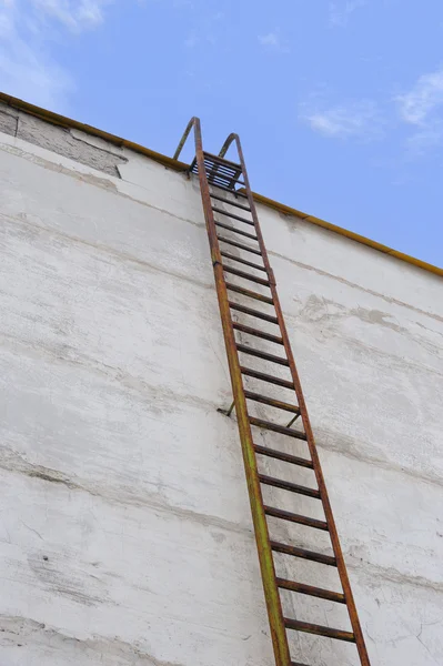 Ladder at a wall — Stock Photo, Image