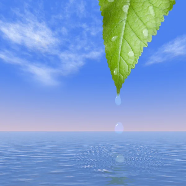 stock image Leaf with drops of dew