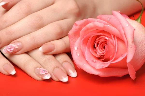 Manicure. Mani femminili su sfondo rosso — Foto Stock