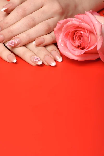 Manicure. Mãos femininas no fundo vermelho — Fotografia de Stock