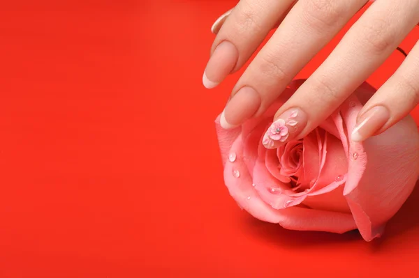 Manicure. Mãos femininas no fundo vermelho — Fotografia de Stock