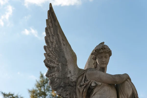 Monumento a un ángel en un cementerio — Foto de Stock