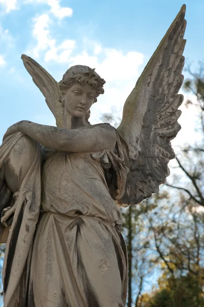Pomnik anioła na cmentarzu — Zdjęcie stockowe