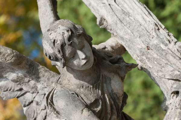 廃棄 (tombstone) のクロスと天使 — ストック写真