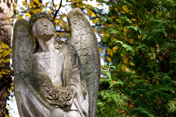묘지에 천사 기념물 — 스톡 사진
