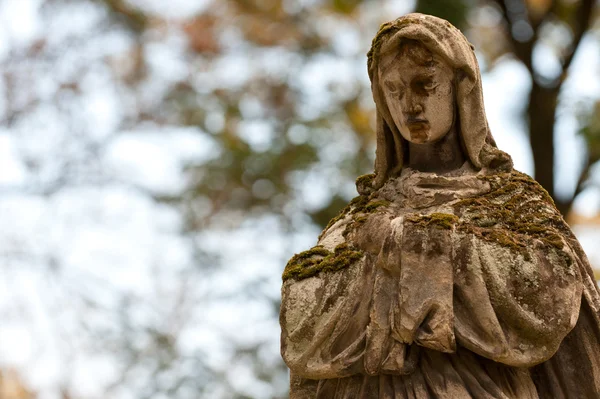 Monumentet fru av guadalupe på en kyrkogård — Stockfoto