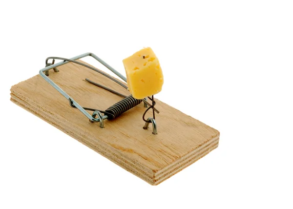 Ratonera con queso — Foto de Stock
