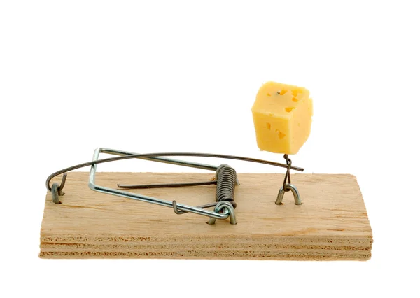 Mousetrap met kaas — Stockfoto