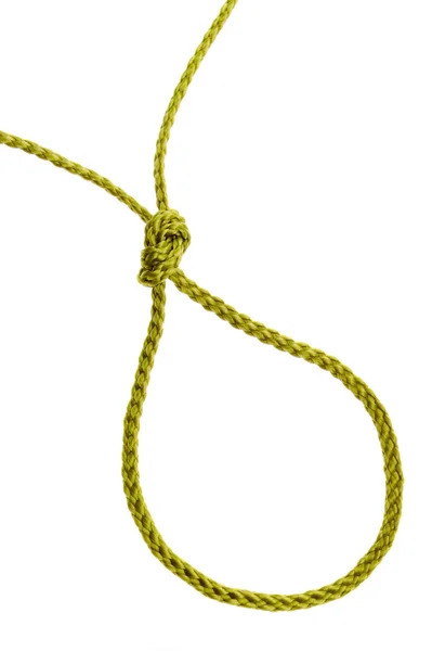 Oca da una corda — Foto Stock