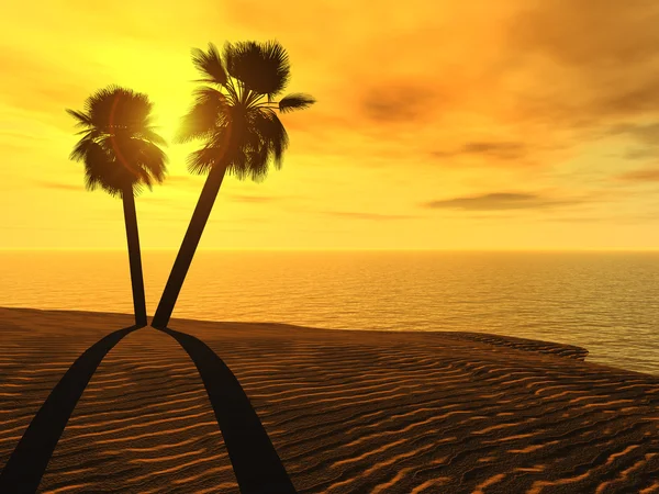 Palmbomen en zonsondergang — Stockfoto
