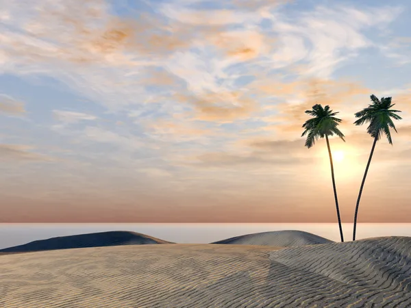 棕榈树海岸的海洋 — 图库照片