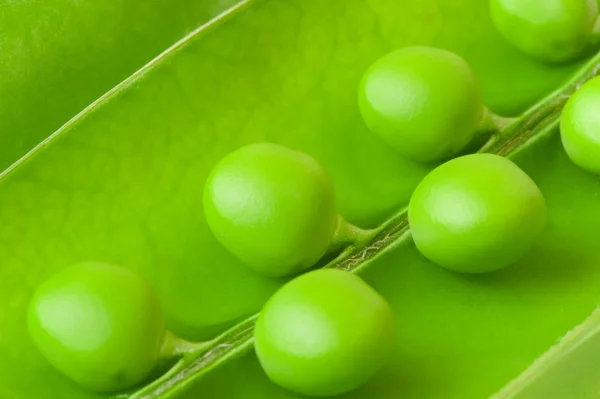 stock image Pea background