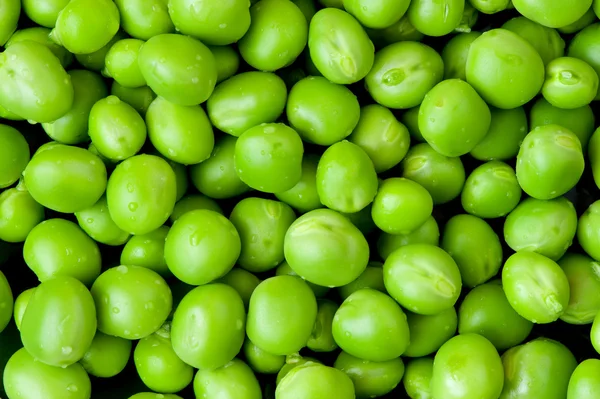 stock image Pea background