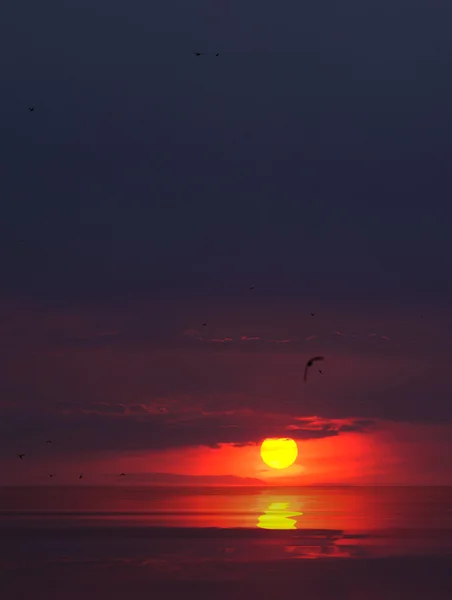 Malerischer Sonnenuntergang — Stockfoto