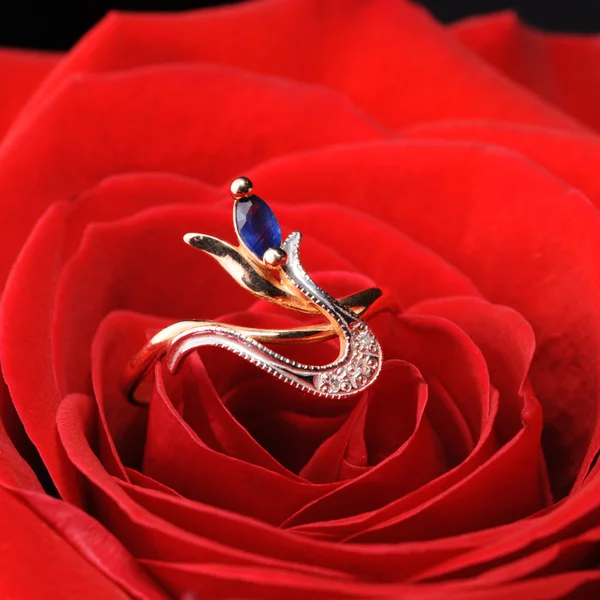 Δαχτυλίδι σε ένα κόκκινο τριαντάφυλλο — Φωτογραφία Αρχείου