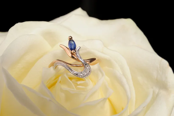 Ring in a white rose — Stock Photo, Image