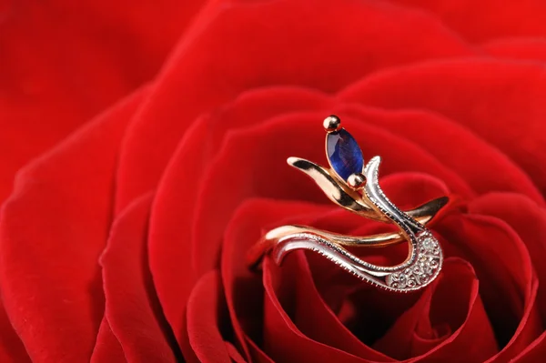 Pierścień z szafirem w czerwona róża — Zdjęcie stockowe